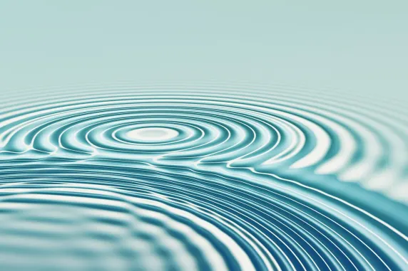 Casino All In Suporte